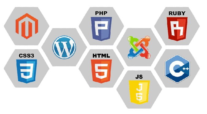 Web Development